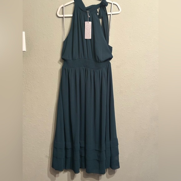 NWT Daniel Rainn Maternity Fern Halter Neck
Dress from Stitch Fix - Picture 6 of 12
